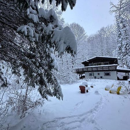 Chalet Dans Les Arbres. 3 Ch. /Trees House 3Bdr Lac Sainte-Marie Экстерьер фото