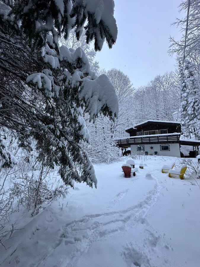 Chalet Dans Les Arbres. 3 Ch. /Trees House 3Bdr Lac Sainte-Marie Экстерьер фото